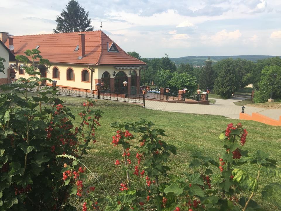 Villa Teleki Eksteriør billede